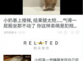 最火的小程序短视频软件,揭秘最火小程序的魅力所在