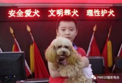 瑞安91电台直播,实时捕捉城市脉搏，畅享精彩瞬间