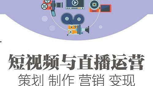 短视频策划与运营,打造爆款内容的秘诀解析  第2张