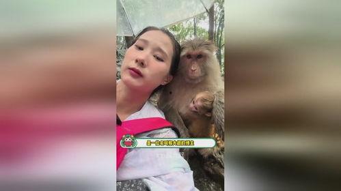 娱乐吃瓜酱盘点猴哥外号,娱乐吃瓜酱带你领略孙悟空的多面风采  第3张