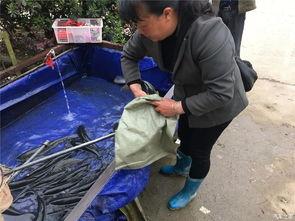 五一吃瓜群众网入口,揭秘热门话题背后的真相与笑料 第3张 五一吃瓜群众网入口,揭秘热门话题背后的真相与笑料 第3张